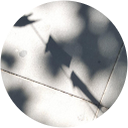 Ma Pilar Marqueta profile picture